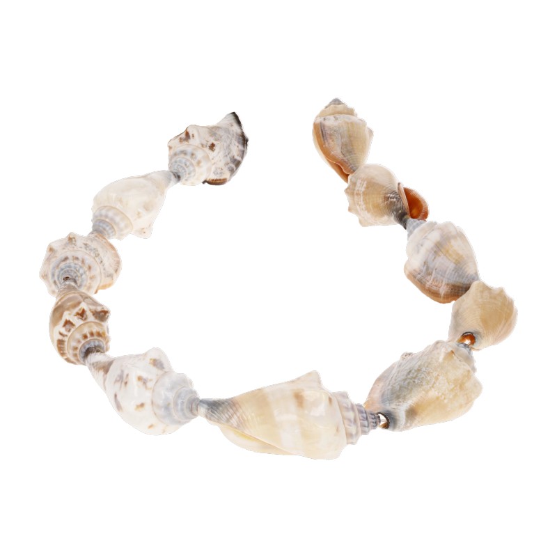 Filo di Conchiglia Gasteropode Marino ø 35 x 20 mm