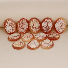 Offer Lot 12 Cammei on Conchiglia