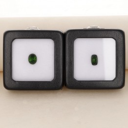 Lot offer 2 stones of Diopside Oval and rectangular