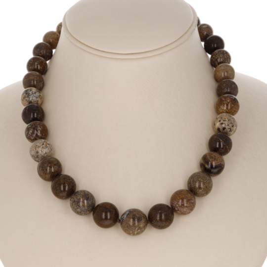 Necklace Round neck Bone of Dinosaur