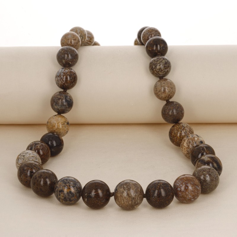 Necklace Round neck Bone of Dinosaur