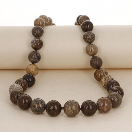 Necklace Round neck Bone of Dinosaur