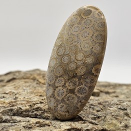 Gemstone Oval Cabochon agnated oval coral 70.57 ct.