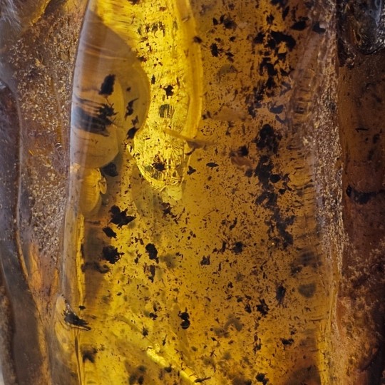 Gemstone of raw amber gr. 152