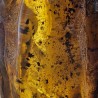 Gemstone of raw amber gr. 152