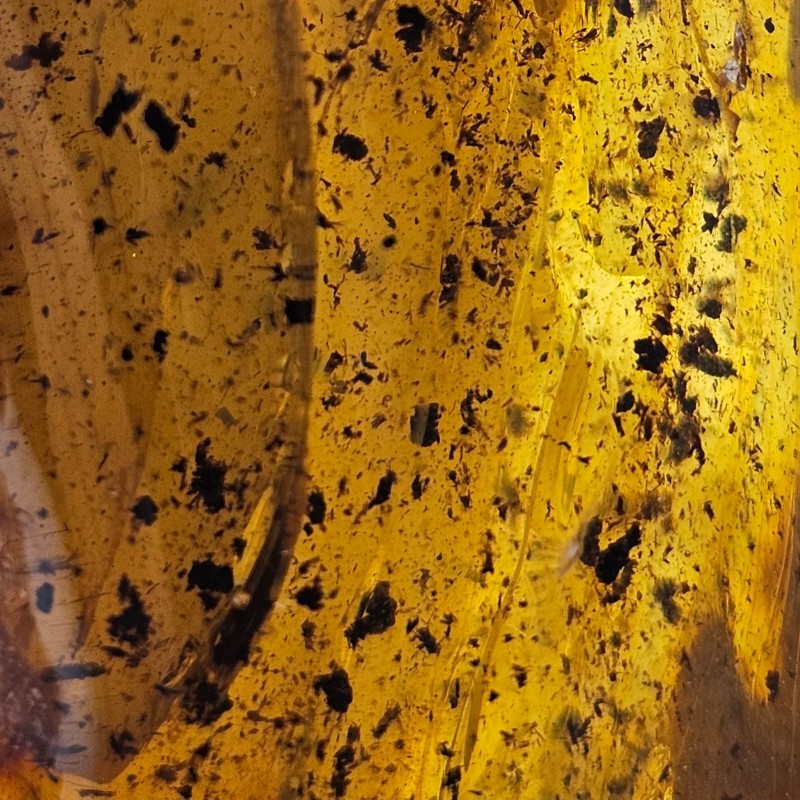 Gemstone of raw amber gr. 152