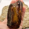 Gemstone of raw amber gr. 152