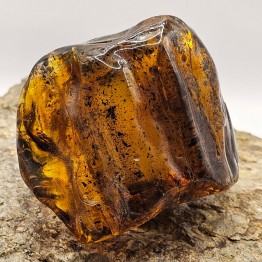 Pietra di Ambra Grezza GR. 244