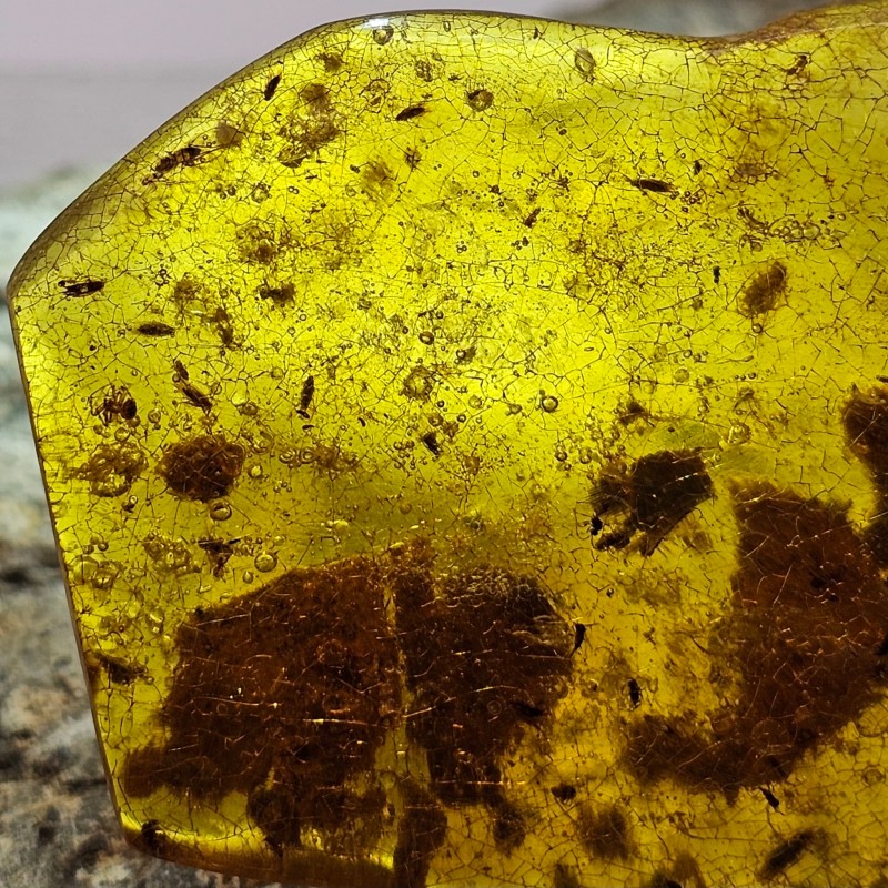 Pezzo di Copale con Decine di Insetti