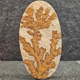 Pietra Arenaria Dendritica Forma Ovale