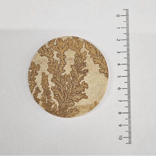 Gemstone Dendritic sandstone roundabout 211 ct.