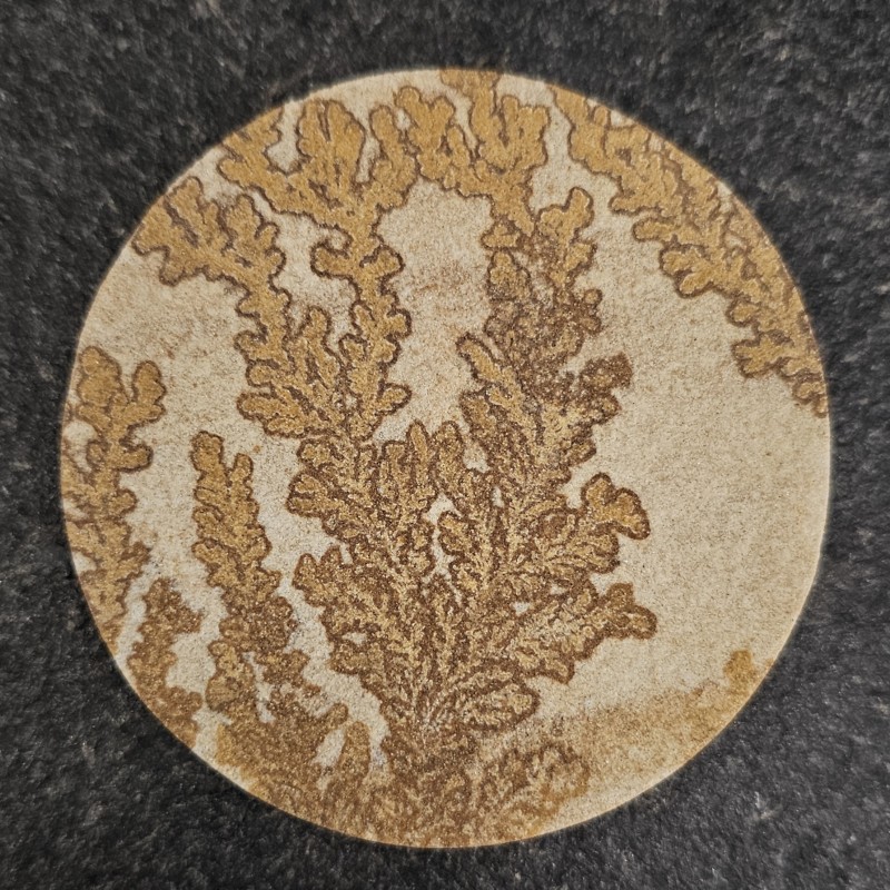 Gemstone Dendritic sandstone roundabout 211 ct.