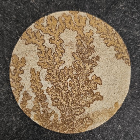 Gemstone Dendritic sandstone roundabout 211 ct.