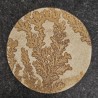 Gemstone Dendritic sandstone roundabout 211 ct.