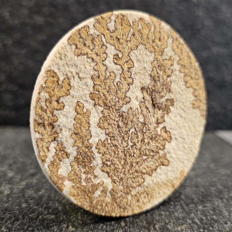 Gemstone Dendritic sandstone roundabout 211 ct.