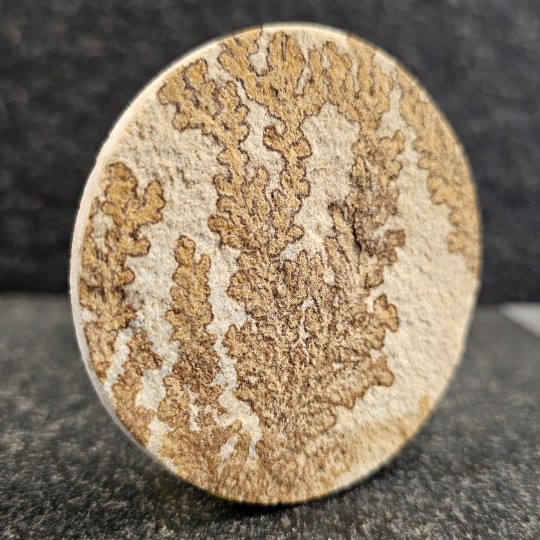 Gemstone Dendritic sandstone roundabout 211 ct.