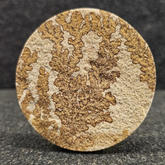 Gemstone Dendritic sandstone roundabout 211 ct.