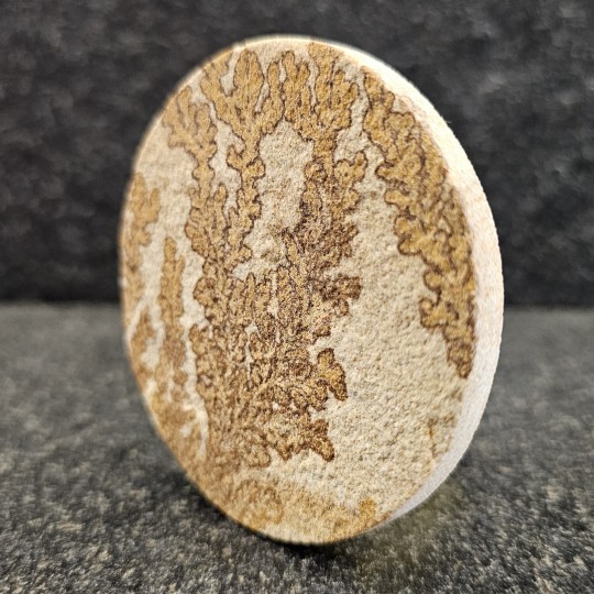 Gemstone Dendritic sandstone roundabout 211 ct.