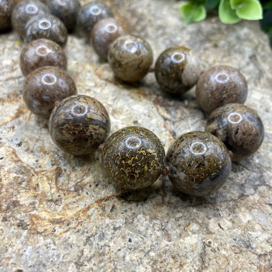 Collana Ossa di Dinosauro Sferico Liscio Scalare