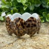 Bracciale Conchiglia di Ciprea (Cyprea Tigris)