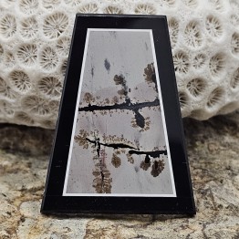 Stone Diaspro Dendritico on Ardesia and Chalcedon