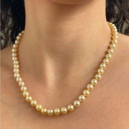 Necklace Pearl Akoya Gold Round