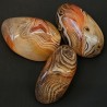 Offer 3 stones pebble of agate striated by collectible