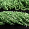 Tsavorite Wire in Chips ø 2.5/5 mm