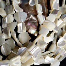 Strand of white mother-of-pearl shape fantasy Ø 10/13 mm
