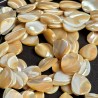 Strand of beige and white token pearl pearl