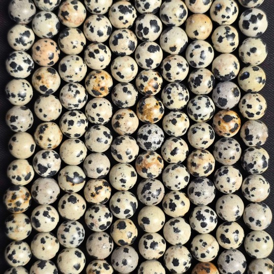 Lotto 10 Fili Diaspro Dalmata