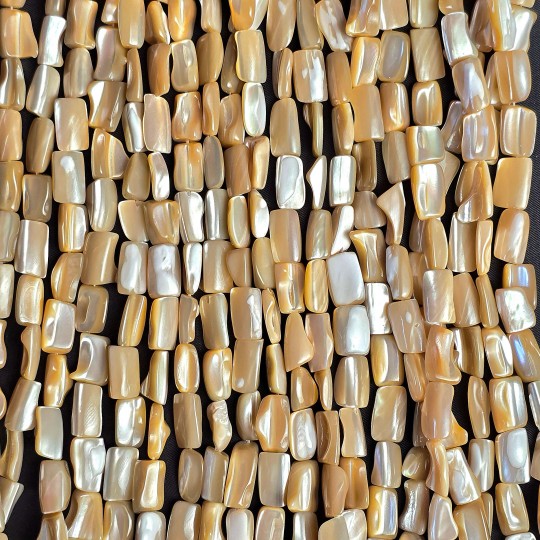 Strand of mother-of-pearl beige shape fantasy Ø 8/10 mm
