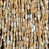 Strand of mother-of-pearl beige shape fantasy Ø 8/10 mm