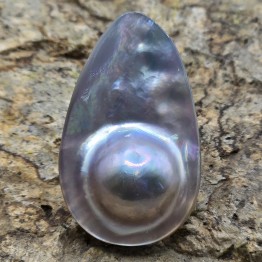 Perla Mabè di Tahiti ø  36,5x22,3 mm