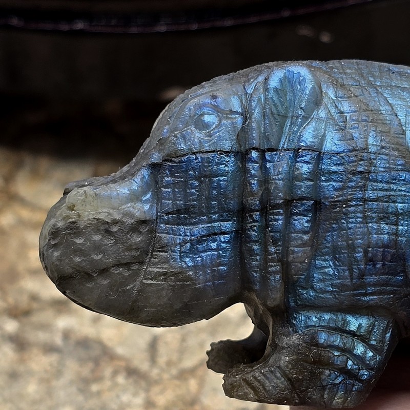Scultura di Ippopotamo in Labradorite