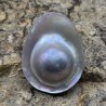 Tahiti Mabè pearl ø 31,4x24,3 mm