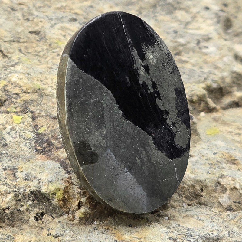 Pietra di Pirite in Matrice di Scisto Nero