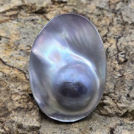 Perla Mabè di Tahiti ø 33,3x23,5 mm