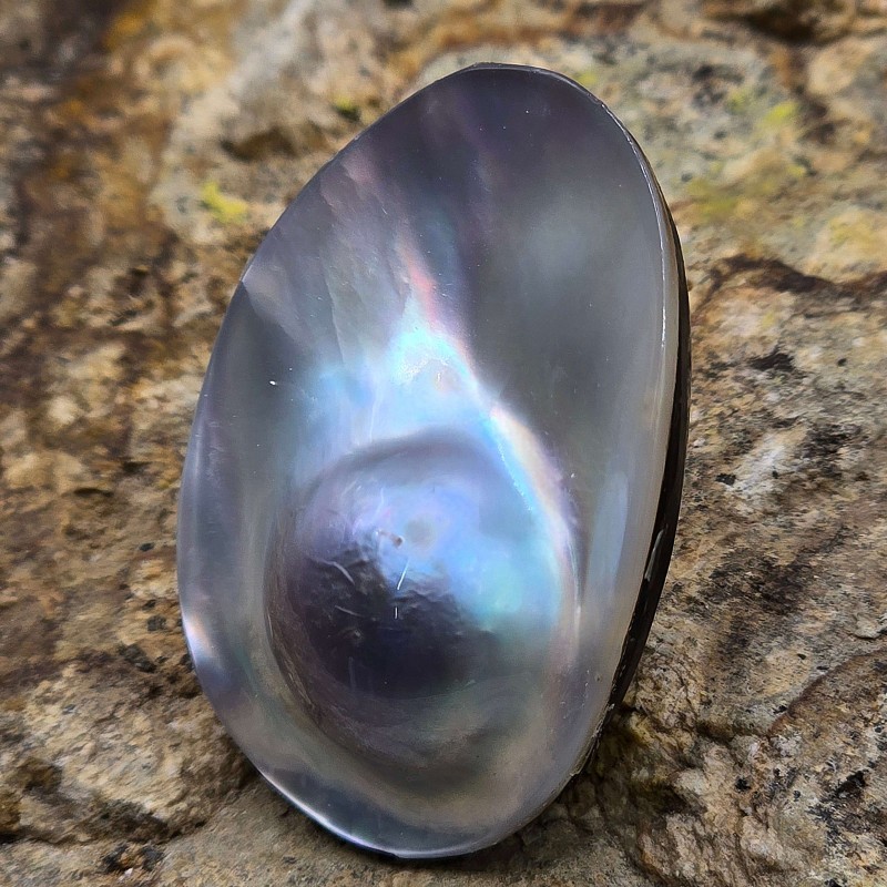 Perla Mabè di Tahiti ø 33,3x23,5 mm