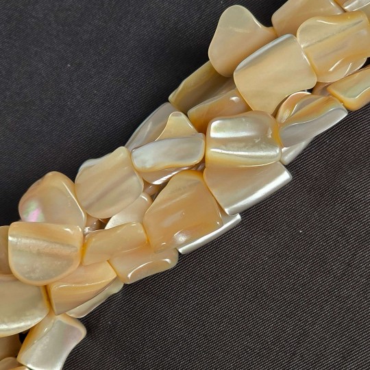 Thread of Mother of Pearl Beige in Fantasia ø 10/13 mm