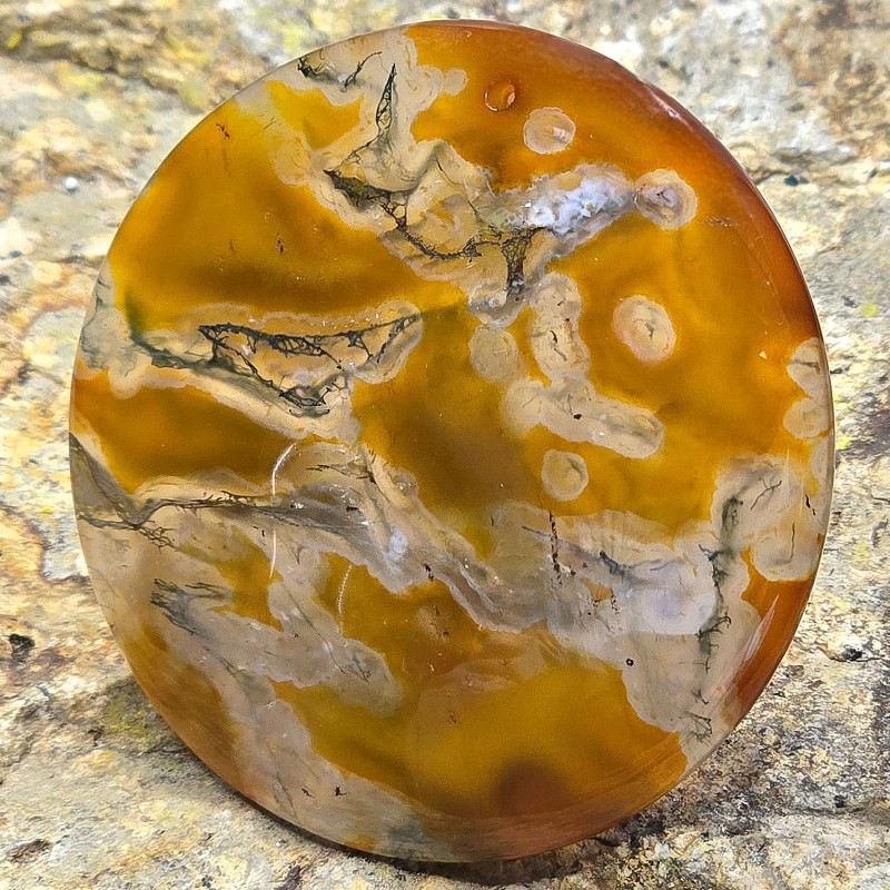 Stone of Agata Muschiata