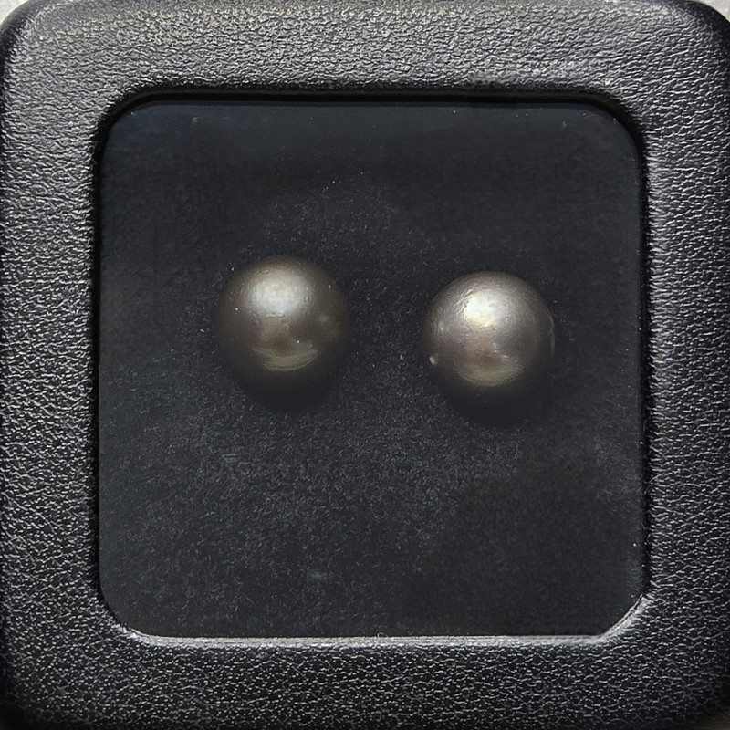 Coppia di Perle di Tahiti Multisfumatura Semiround