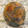 Stone of Agata Muschiata Cabochon Round