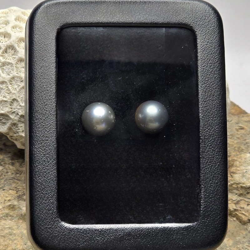 Coppia di Perle Tahiti Semiround ø 11,2 mm