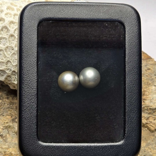 Pair of Tahitian Semi-round Pearls ø 11.4/11.5 mm