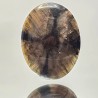 Stone of Chiastolite Cabochon Oval 76,41 Ct.