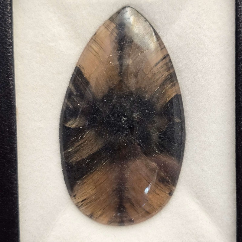 Stone of Chiastolite Cabochon in Goccia 53,95 Ct.