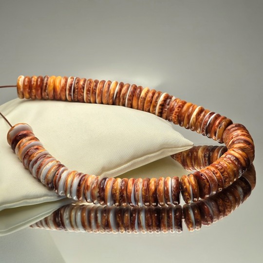 Filo Conchiglia Spiny Rossa a Rondella ø 20 mm