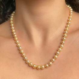 Necklace Pearl Akoya Gold Round
