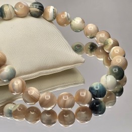 Conchille Wire of Gasteropode Marino ø 11.5/12 mm